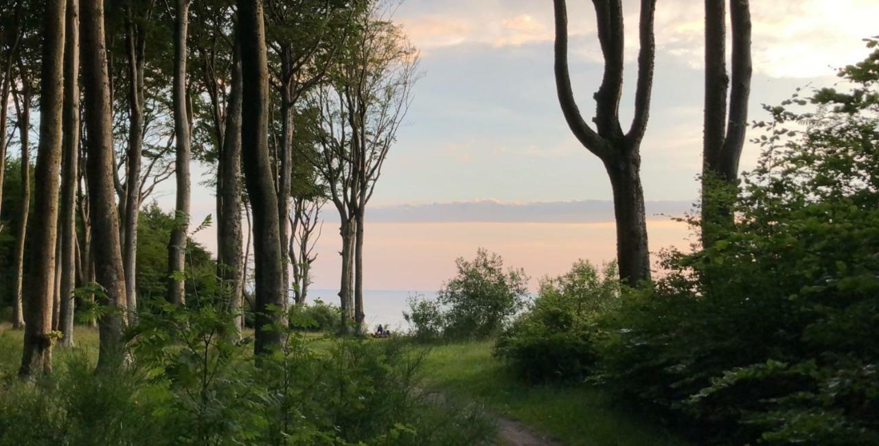 Hilltom By The Sea Daire Rowy  Dış mekan fotoğraf